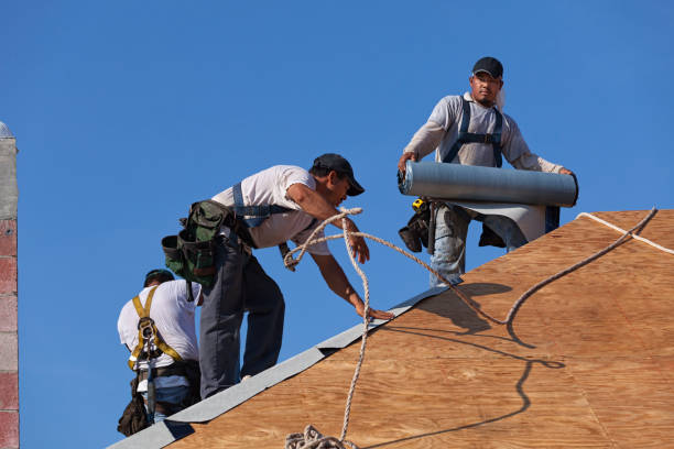 Best Residential Roofing Contractor  in Calvert City, KY
